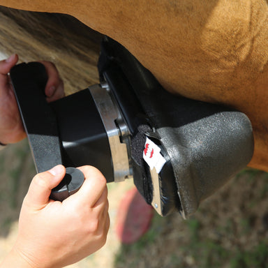 Equisports Leg Adapter with Pad