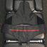 Traction Table Belt