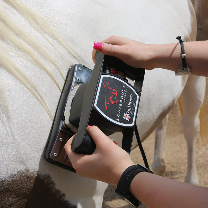 Equisports Equine Massager